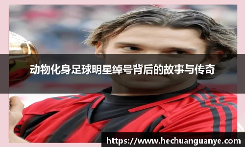 动物化身足球明星绰号背后的故事与传奇